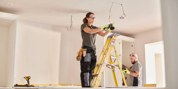 Best Electrician Near Me  in Chesaning, MI