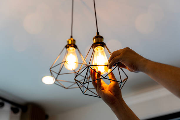 Best Electrician for Home Renovation  in Chesaning, MI