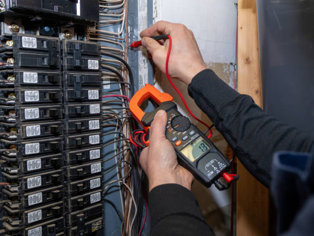 Best Affordable Electrician  in Chesaning, MI